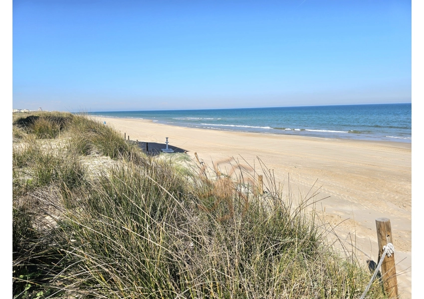 Sad pomarańczowy 350m od plaży w Cullera, Walencja